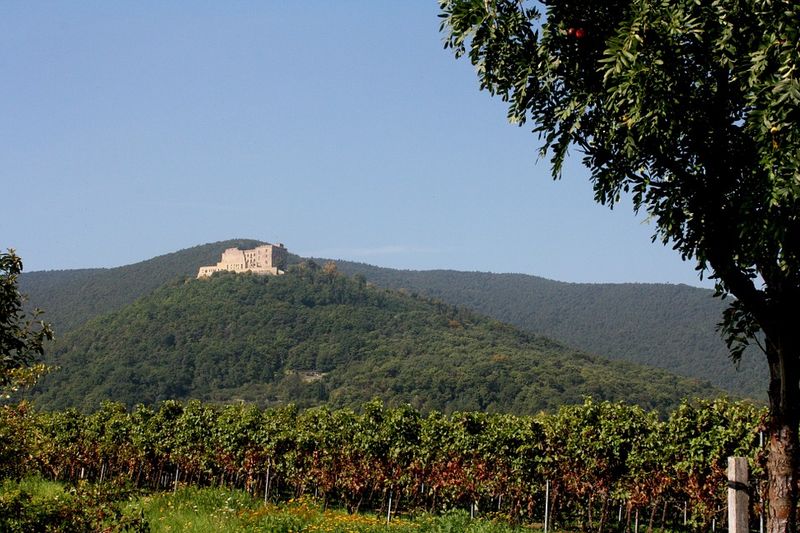 hambach-castle-478262_960_720.jpg 
