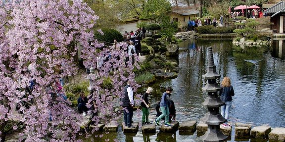 japanischer_garten.jpg 
