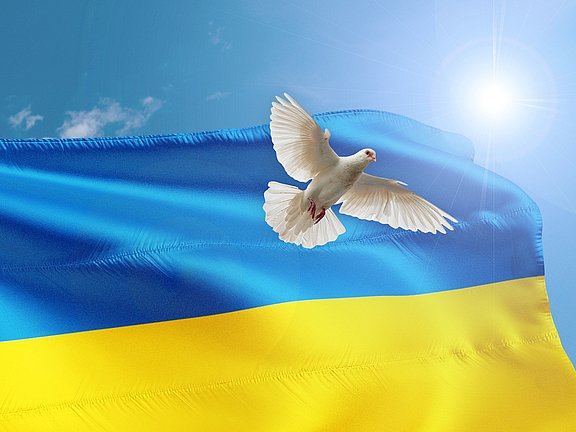 Ukraine-Flagge_Taube.jpg 