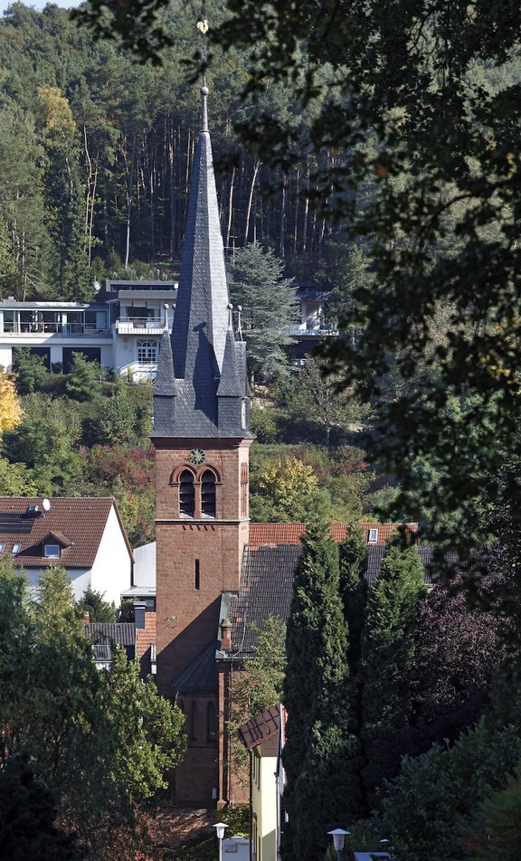 Erlenbach3.jpeg 